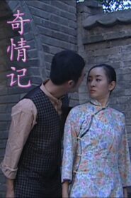 奇情记 2009 on netflix