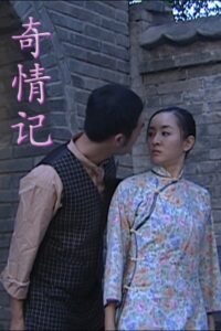 奇情记 2009 on netflix