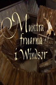 Muntra fruarna i Windsor 1998 on netflix