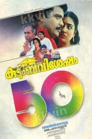 Kudumba Visesham 1994 on netflix