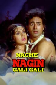 Nache Nagin Gali Gali 1989 on netflix
