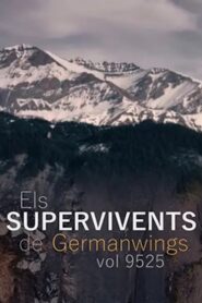 Els supervivents del vol 9525 de Germanwings 2020 on netflix