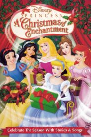 Disney Princess: A Christmas of Enchantment 2005 on netflix