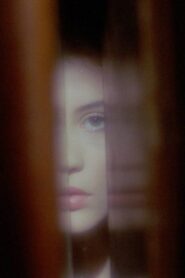 Phantasmagoria of the Interior 2015 on netflix
