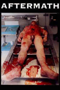 Aftermath 1994 on netflix