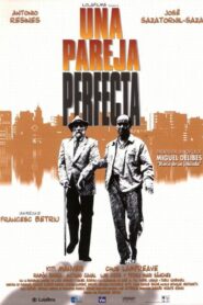 A Perfect Couple 1998 on netflix