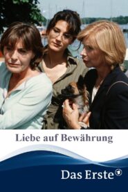 Liebe auf Bewährung 2004 on netflix