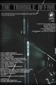 The Triangle Affair 2012 on netflix