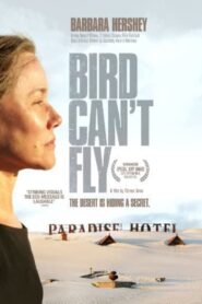 The Bird Can’t Fly 2008 on netflix