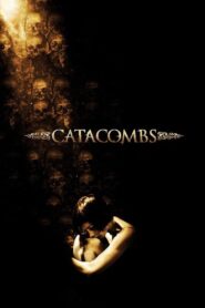 Catacombs 2007 on netflix