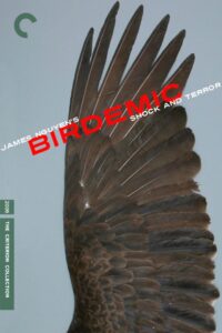 Birdemic: Shock and Terror 2010 on netflix