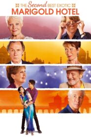 The Second Best Exotic Marigold Hotel 2015 on netflix