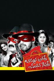 Bommana Brothers Chandana Sisters 2008 on netflix