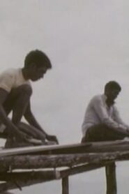 Baniyala 1996 on netflix