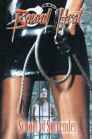 School Of Surrender 2005 on netflix