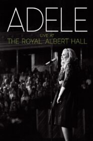 Adele: Live at the Royal Albert Hall 2011 on netflix