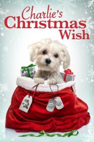 Charlie’s Christmas Wish 2020 on netflix