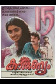 Karunyam 1997 on netflix