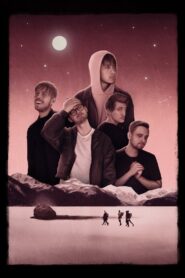 Pojkvän 2018 on netflix