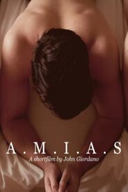 Amias 2013 on netflix