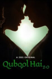 Qubool Hai 2.0 2021 on netflix