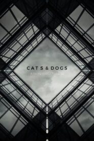Cats & Dogs 2023 on netflix