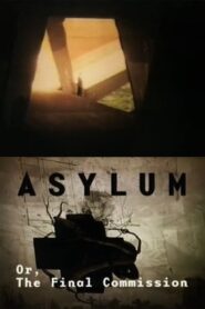 Asylum 2000 on netflix