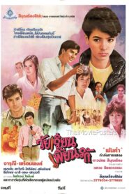 วัยเรียนเพี้ยนรัก 1985 on netflix