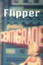 Flipper 1980 on netflix