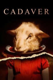 Cadaver 2020 on netflix