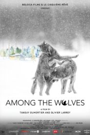 Among the Wolves 2024 on netflix