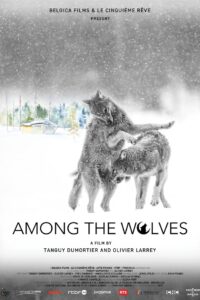 Among the Wolves 2024 on netflix