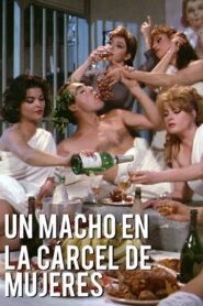 Un macho en la cárcel de mujeres 1986 on netflix