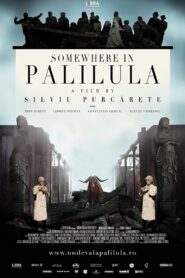 Somewhere in Palilula 2012 on netflix