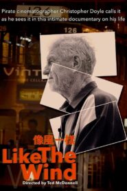 Like the Wind 2021 on netflix