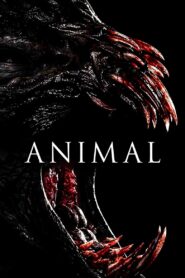 Animal 2014 on netflix
