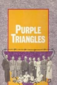 Purple Triangles 1991 on netflix