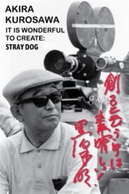 Akira Kurosawa: It Is Wonderful to Create: ‘Stray Dog’ 2002 on netflix