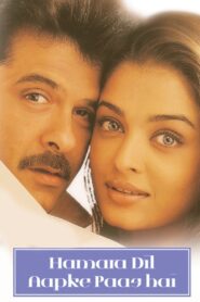 Hamara Dil Aapke Paas Hai 2000 on netflix
