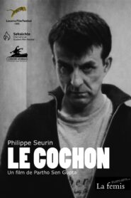 Le Cochon 1995 on netflix