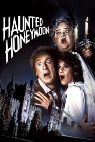 Haunted Honeymoon 1986 on netflix