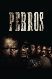 Perros 2016 on netflix