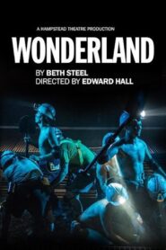 Hampstead Theatre At Home: Wonderland 2014 on netflix