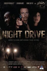 Night Drive 2010 on netflix