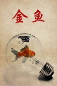 Goldfish 1995 on netflix