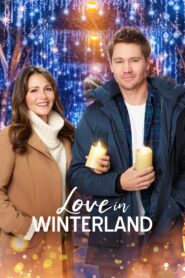 Love in Winterland 2020 on netflix
