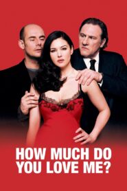 How Much Do You Love Me? 2005 on netflix