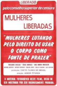 Mulheres Liberadas 1982 on netflix