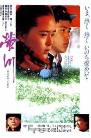 River of Fireflies 1987 on netflix