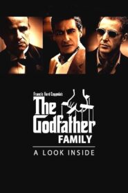 The Godfather Family: A Look Inside 1990 on netflix